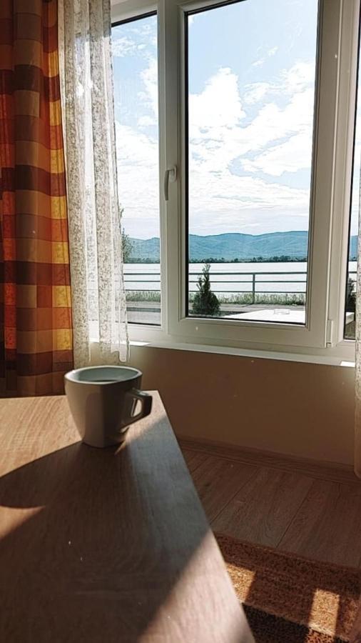 Fenix Apartment & Rooms Vinci Esterno foto